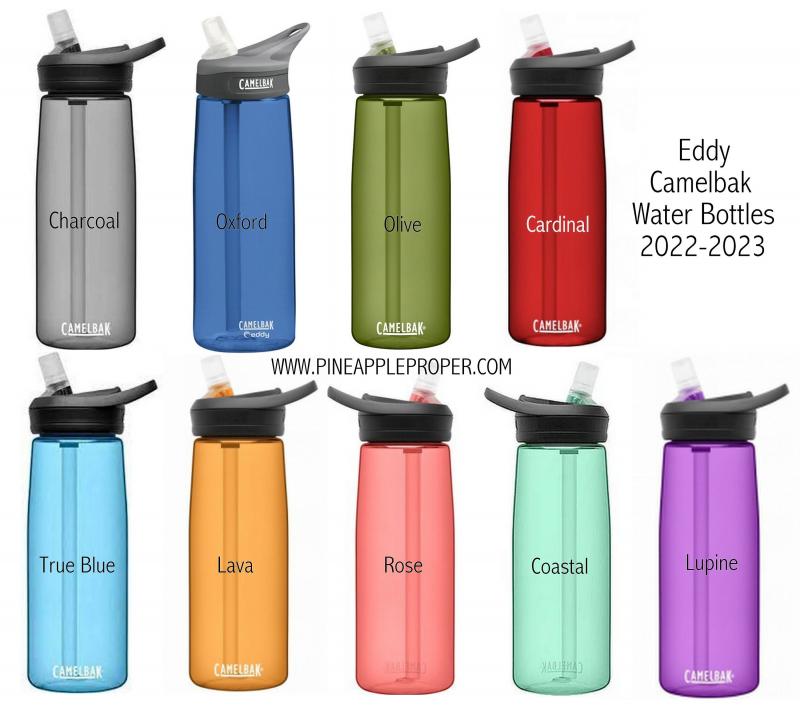 Need The Perfect Water Bottle. Discover The Top Camelbak Sizes & Styles For 2023