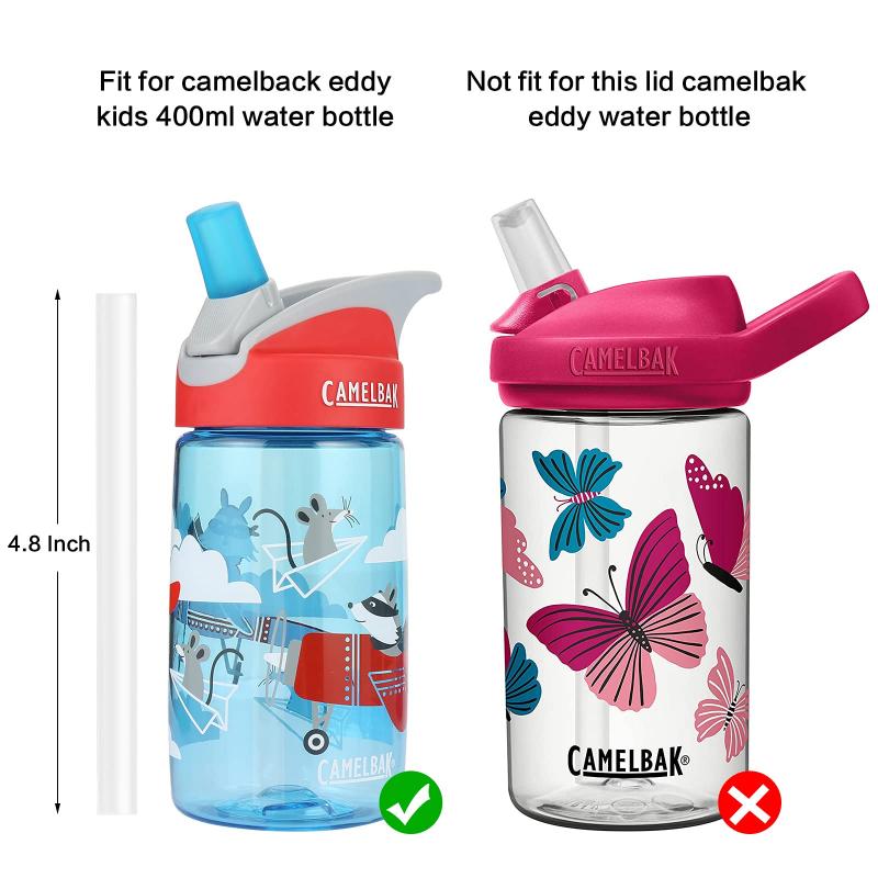 Need The Perfect Water Bottle. Discover The Top Camelbak Sizes & Styles For 2023