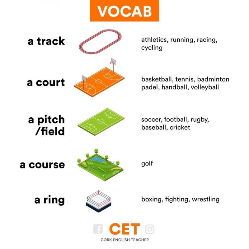 Need To Keep Track of Baseball Pitches. Discover the Best Pitch Counters