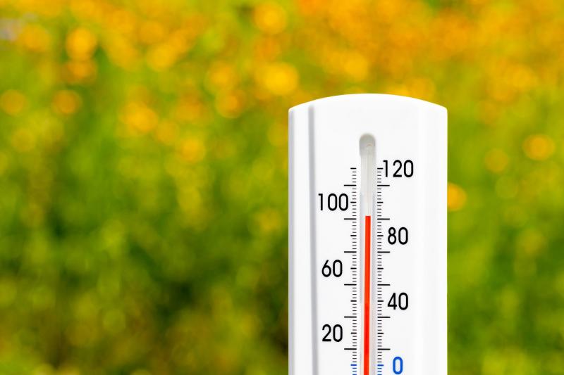 Need to Measure Temperatures Outside Your Home. See the Top 12 Outdoor Thermometers to Pick