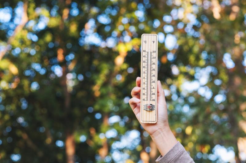 Need to Measure Temperatures Outside Your Home. See the Top 12 Outdoor Thermometers to Pick