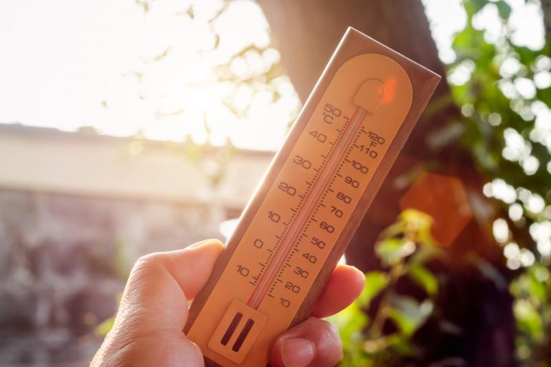 Need to Measure Temperatures Outside Your Home. See the Top 12 Outdoor Thermometers to Pick