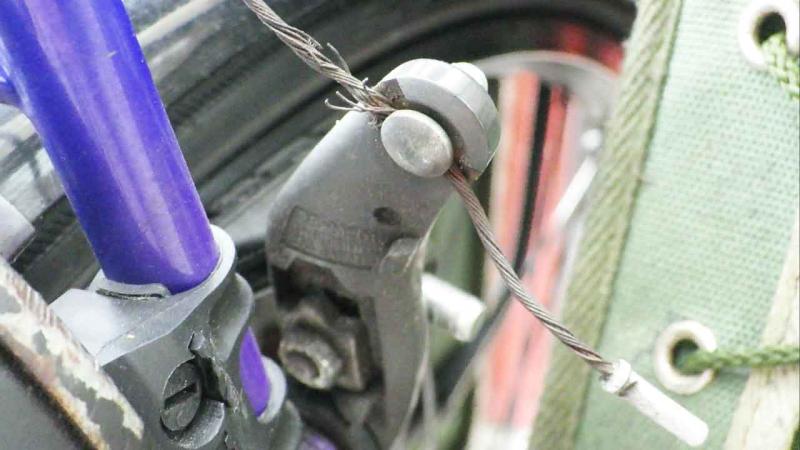 Need to Replace Your Schwinn Bike