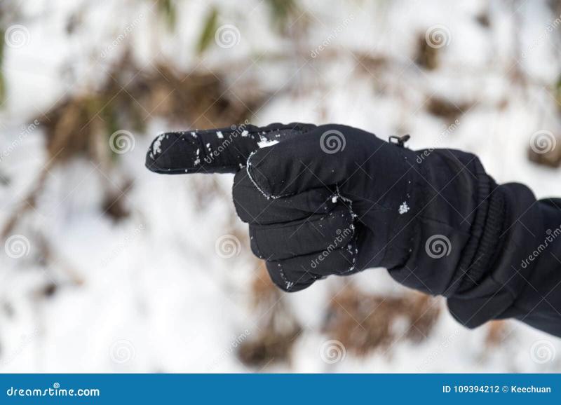 Need Warm Hands While Driving This Winter. Find The Best Gloves Here