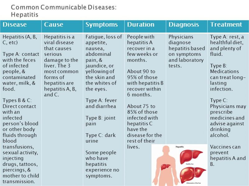 New Insights into Debeere and Debrer Diseases  Causes Symptoms and Treatments