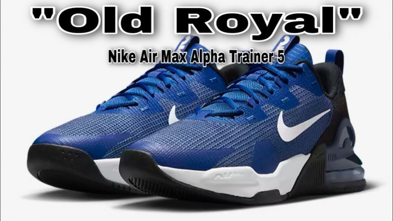 Nike Alpha Elite 2 Review The Ultimate Cushioned Daily Trainer