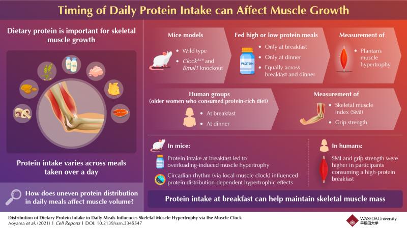 Protein Packed: How To Help Young Athletes Fuel For Success Using These 15 Strategies