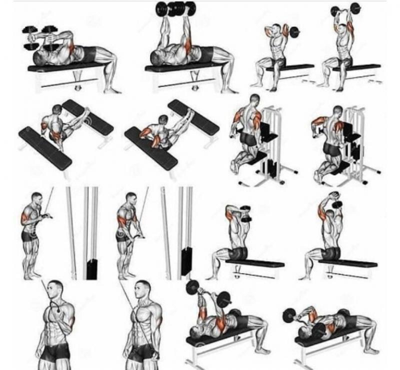 Pumped to Pump Iron. Try These Weider Bars For a Full-Body Workout