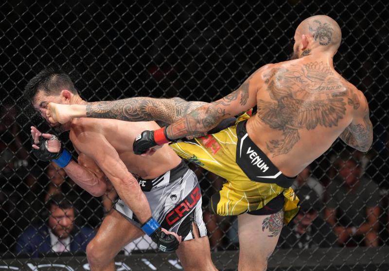Punch Your Way to Fitness with the Best UFC Punching Bags: Discover How to Knock Out Fat and Build Lean Muscle