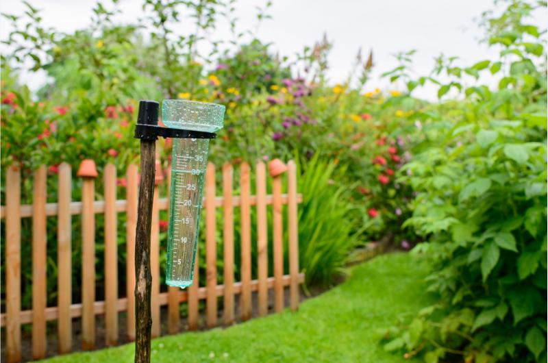 Rainfall Made Easy: 15 Tips for Measuring Rain with the Best Digital Rain Gauges