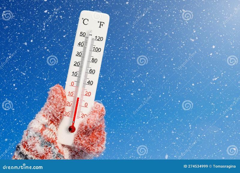 Reach Your Target Temperature With The Right Thermometer: What Advice Do Experts Offer In 2022