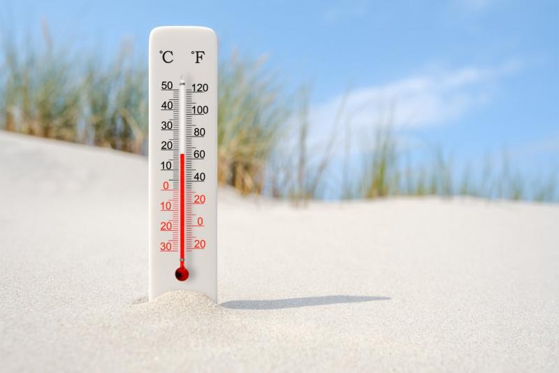 Reach Your Target Temperature With The Right Thermometer: What Advice Do Experts Offer In 2022