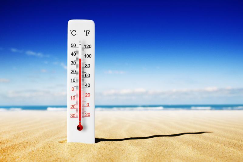 Reach Your Target Temperature With The Right Thermometer: What Advice Do Experts Offer In 2022