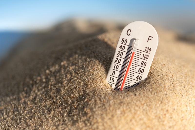 Reach Your Target Temperature With The Right Thermometer: What Advice Do Experts Offer In 2022