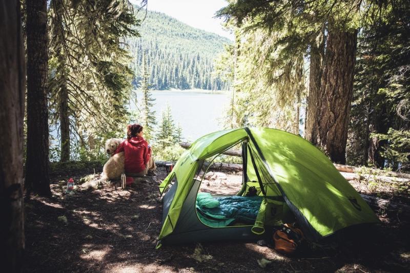 Ready for Camping Adventures This Year. Discover the 15 Must-Have Features of the Coleman Cabin Tent