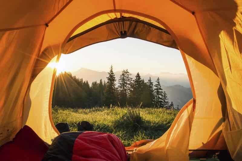 Ready for Camping Adventures This Year. Discover the 15 Must-Have Features of the Coleman Cabin Tent