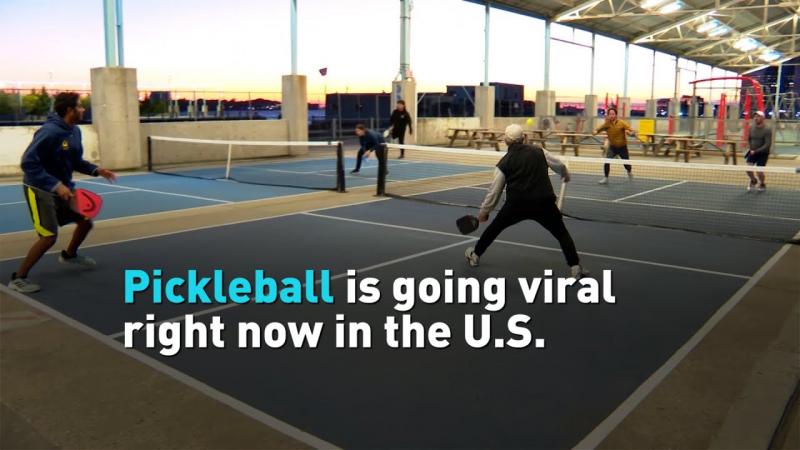 Ready for Pickleball Fun in Your Driveway. The Monarch Pickleball Game Set Has Everything You Need