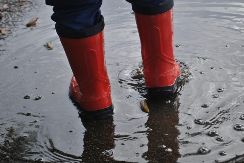 Ready For Rainy Weather. Find The Best Socks For Rain Boots Here