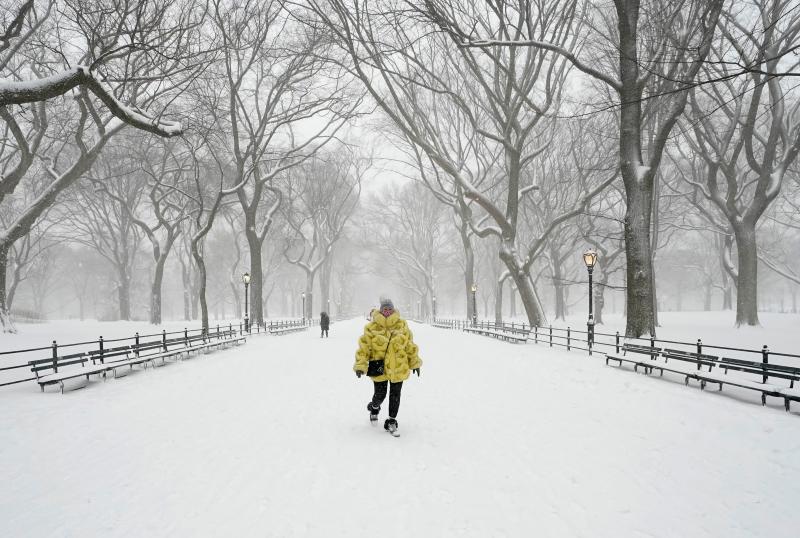 Ready for the Cold Weather. Find the Best Thick Hoodies This Winter Here