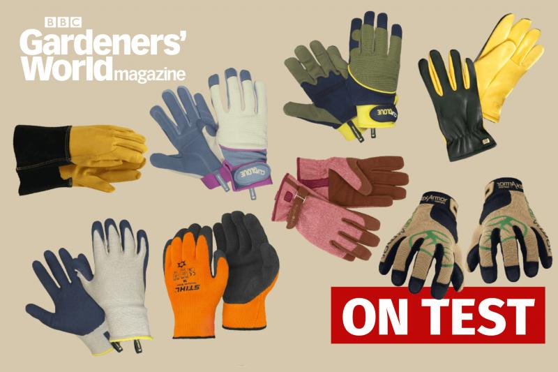 Ready For Winter Weather. Find The Best Gloves For Her Now