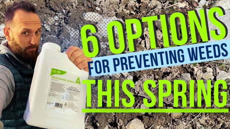 Ready to Ditch Roundup for Natural Weed Control. Discover the Top 15 Safer Herbicide Alternatives