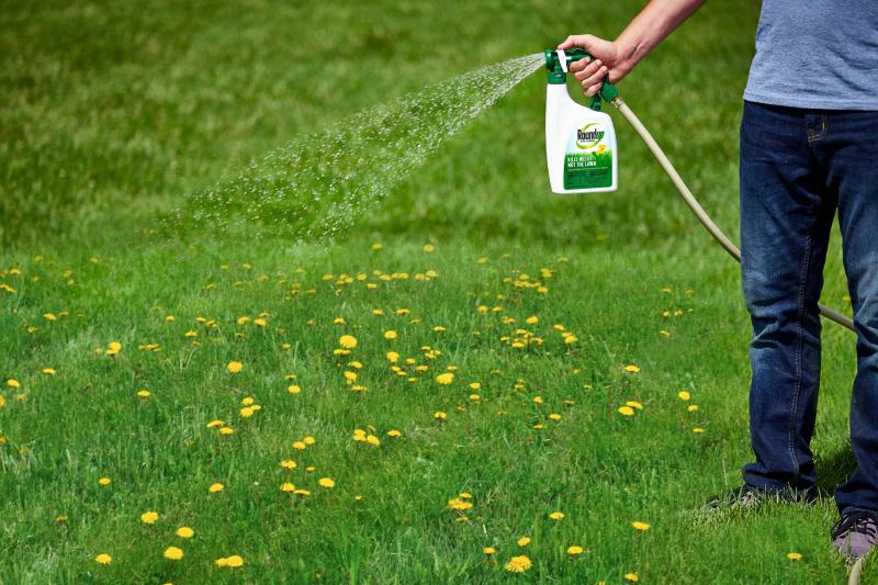 Ready to Ditch Roundup for Natural Weed Control. Discover the Top 15 Safer Herbicide Alternatives