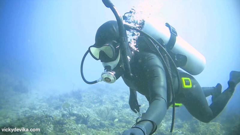 Ready to Dive Deep into Scuba Glory. The 15 Must-Know Scuba Regulator Features to Seek Out