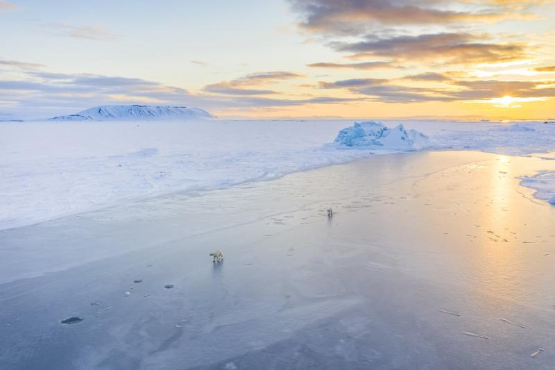 Ready to Explore The Arctic in an Igloo IMX70. Find Out if This Is the Right Snow Shelter for You