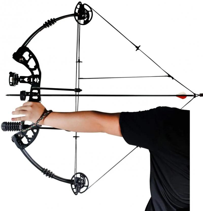 Ready to Improve Your Compound Bow Archery Game. Master These Crucial Tips