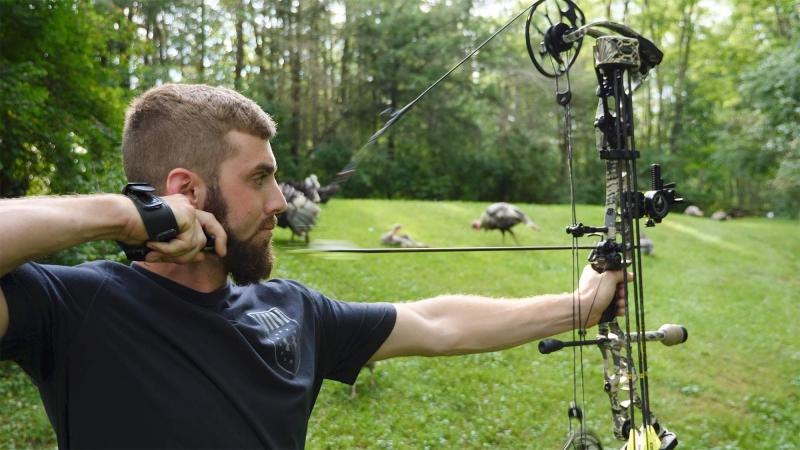 Ready to Improve Your Compound Bow Archery Game. Master These Crucial Tips