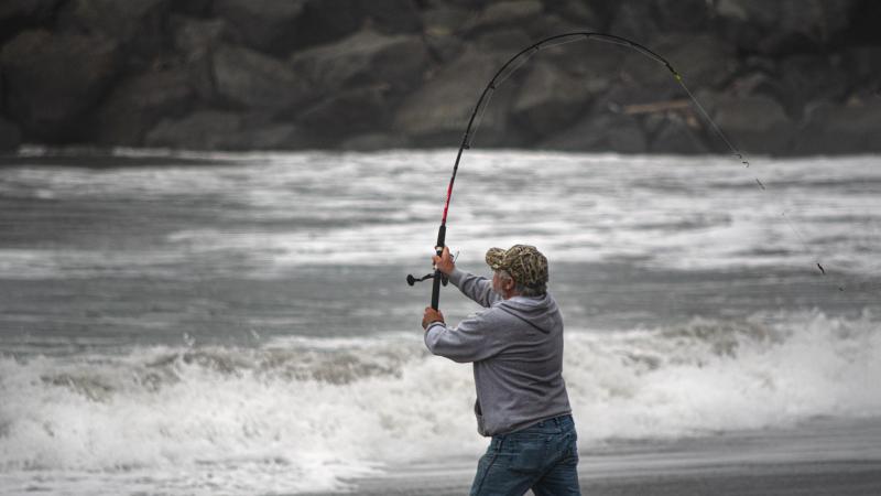 Ready to Land That Big Catch. How to Choose the Perfect Fishing Reel for You