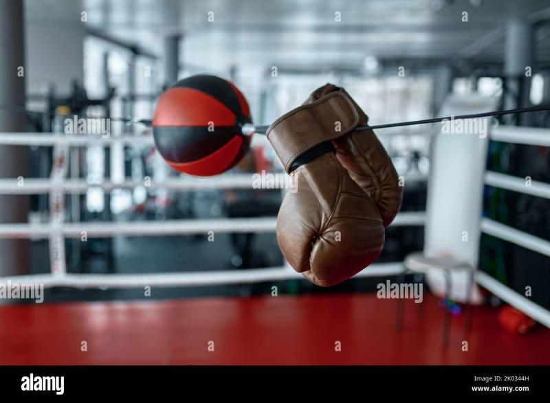 Ready To Punch: 7 Tips For Finding The Best Youth Boxing Gloves