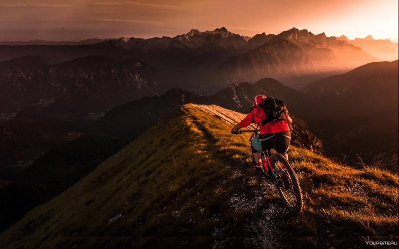 Ready to Ride Up Mountains. 29 Electric Mtb Models Vie For Your Attention