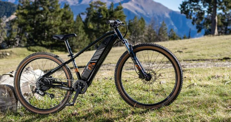 Ready to Ride Up Mountains. 29 Electric Mtb Models Vie For Your Attention