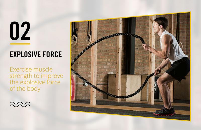 Ready to Train Like Rocky: 15 Best Places to Buy Battle Ropes Near Me