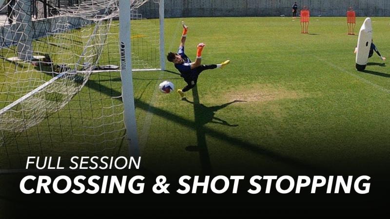 Ready to Up Your Lacrosse Game. Master These 15 Ball Stop Drills