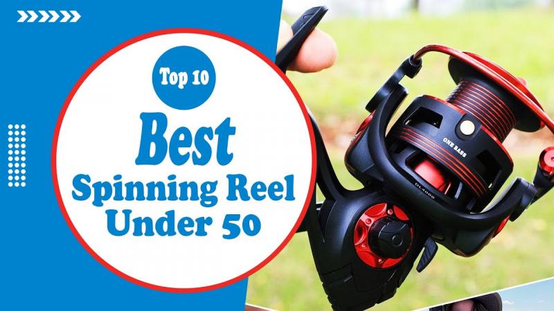 Reliable Reels Under $100: The 15 Best Budget Spinning Combos