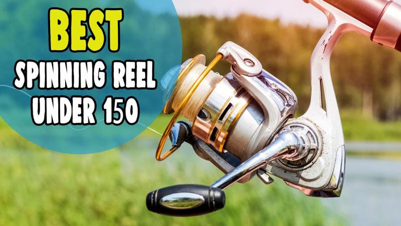 Reliable Reels Under $100: The 15 Best Budget Spinning Combos