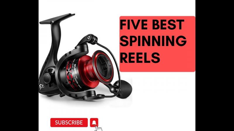 Reliable Reels Under $100: The 15 Best Budget Spinning Combos