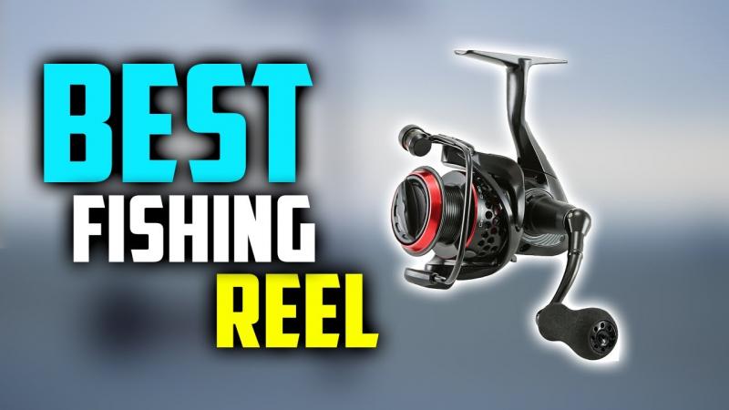 Reliable Reels Under $100: The 15 Best Budget Spinning Combos