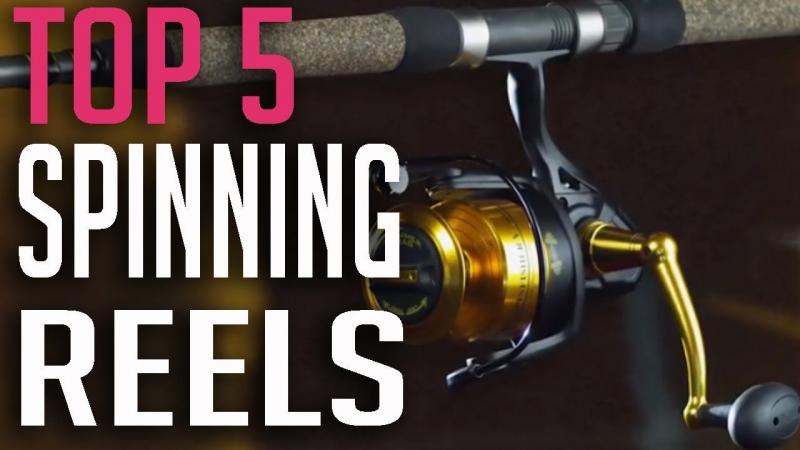 Reliable Reels Under $100: The 15 Best Budget Spinning Combos