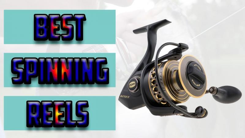 Reliable Reels Under $100: The 15 Best Budget Spinning Combos