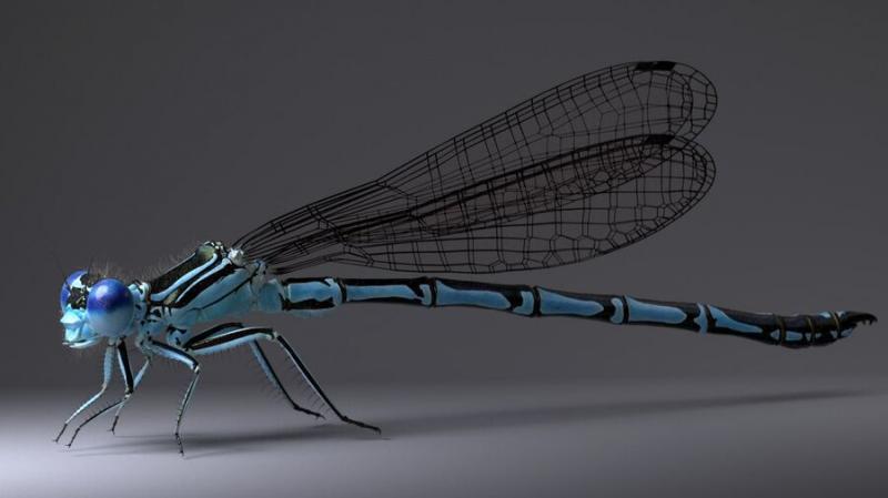 Revolutionary epoch dragonfly c60 tech: How does this futuristic dragonfly 7 shape our world