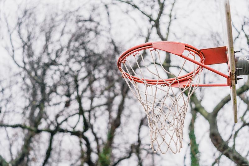 Safeguard Your Basketball Hoop This Year: 15 Must-Have Backyard Hoop Protectors