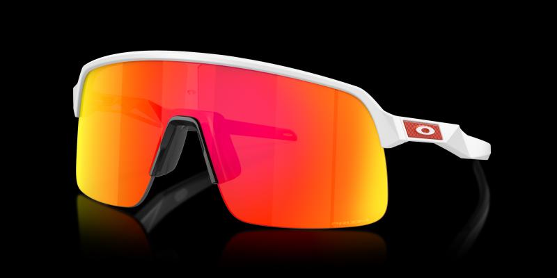 Searching For Oakley Sutro Sunglasses Sale This Year