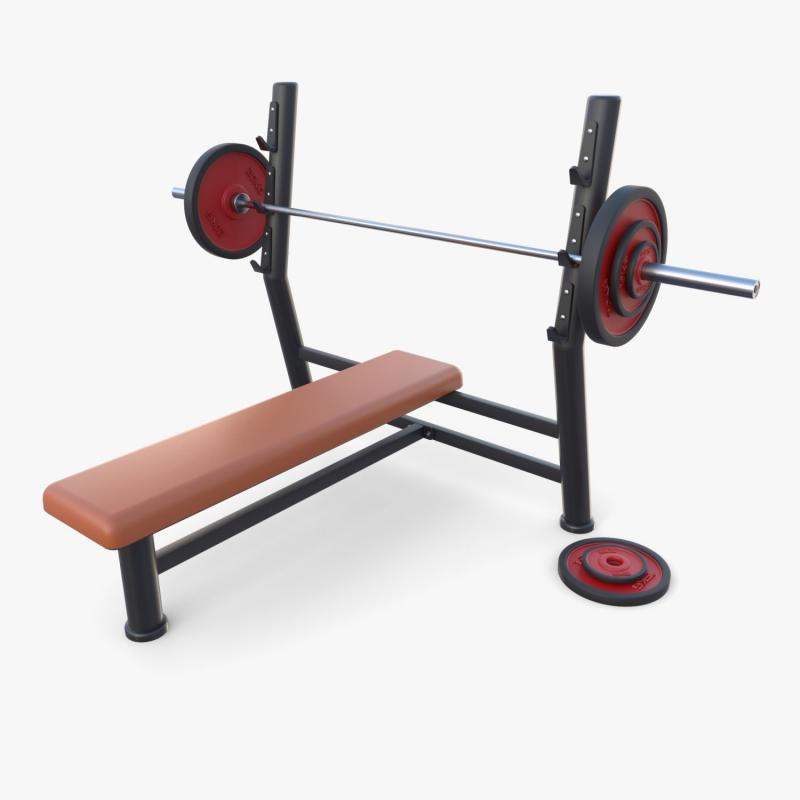 Searching for the Best Flat Bench in 2023. See Which Affordable Model Rises to the Top for Powerlifters