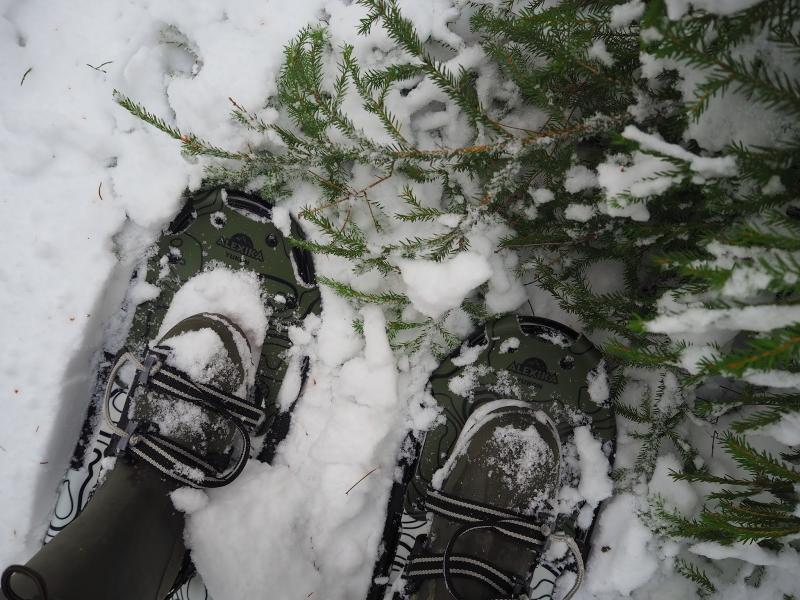 Searching for the Best Snowshoes for Yukon Winters. Discover the Top 15 Snowshoes that Can Withstand Frigid Yukon Temps