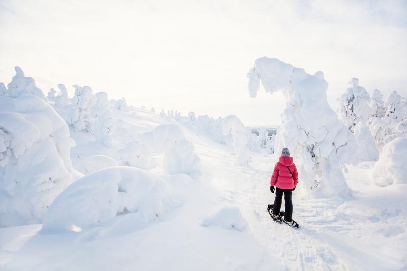 Searching for the Best Snowshoes for Yukon Winters. Discover the Top 15 Snowshoes that Can Withstand Frigid Yukon Temps