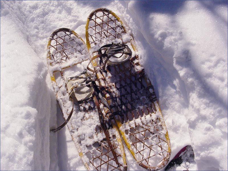 Searching for the Best Snowshoes for Yukon Winters. Discover the Top 15 Snowshoes that Can Withstand Frigid Yukon Temps