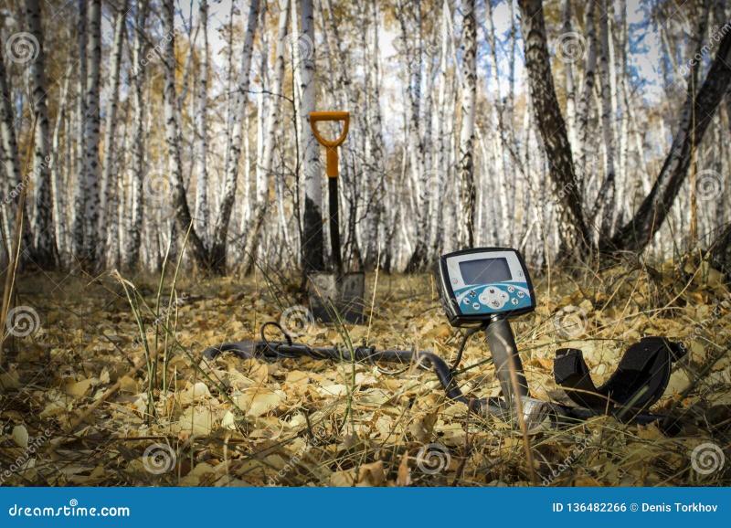 Searching for Treasure with the Royal BB4500 Hi2: The Ultimate Metal Detector